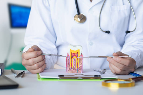 Best Mobile Emergency Dentist in Penngrove, CA